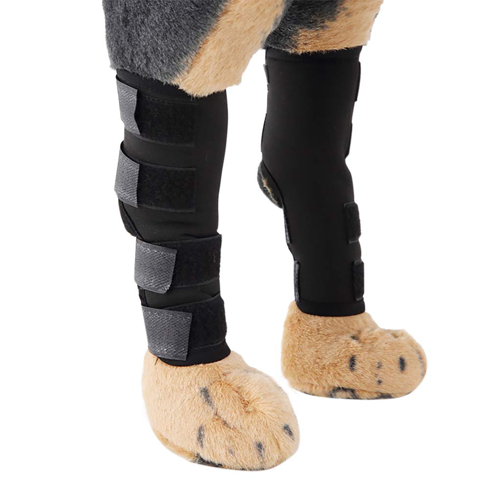 TINAYAUE Comfortable Neoprene Dog Legs Brace Canine Front Hind Legs Support Compression Wraps Hock Joint Brace with Straps for Protecting Dog Legs Wounds Injuries Sprains from Arthritis