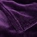 Bedsure GentleSoft Fleece Blanket Twin Size Purple - 300GSM Lightweight Plush Fuzzy Cozy Soft Warm Blanket for Bed, Sofa, Couch, Travel, Camping, 60x80 inches
