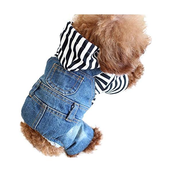 Denim Vest Outfit For Small Dogs