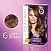 Clairol Age Defy Expert Collection 6 Light Brown 1 Kit, 1 Count (Pack of 3) (PACKAGING MAY VARY)
