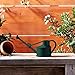 Haws Handy Plastic Watering Can, Mini Water Can for Indoor Plants, Succulents and Flowers, Green, 1 Pint