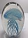 Hand Blown Glass - Jellyfish Paperweight, Glow in The Dark Glass with Multi-Color Light Base (Turquoise)