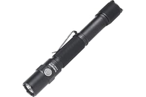 ThruNite Archer 2A C LED Rechargeable Flashlight, High 1000 Lumens AA Flashlight with Lanyard, IPX8 Waterproof Dual Switch Small Outdoor Light for Hiking, Camping, Everyday Use, EDC - CW