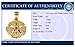 FindingKing 14K Yellow Gold Sand Dollar Pendant Charm