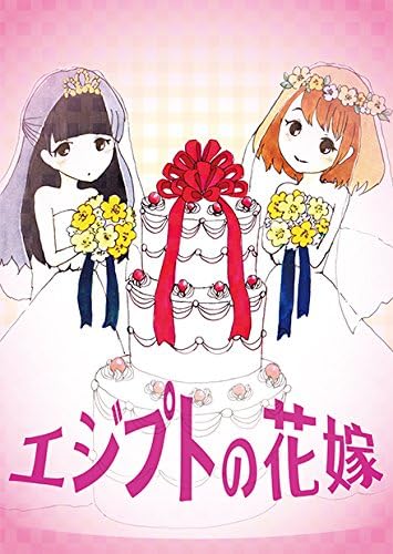 Amazon エジプトの花嫁 カードゲーム トランプ おもちゃ Amazon エジプトの花嫁 カードゲーム トランプ おもちゃ