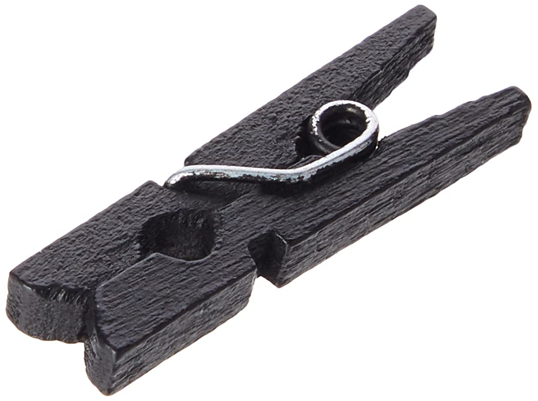 100 Mini Wooden pegs (Black)