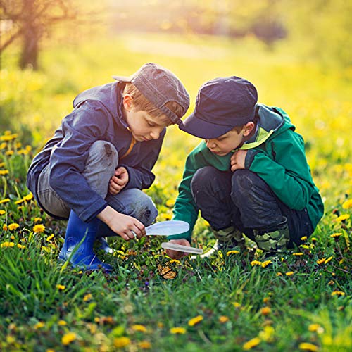 4 oppmart+Outdoor+Catcher+Catching+Observation