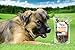 Wyldlife Pets Thick Bully Sticks for Dogs -1 Pack of 8 Bully Stick & 7 Beef Tendons for Dogs Long Lasting Dog Chew Sticks for Dogs
