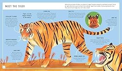 Tiger (Young Zoologist): A First Field Guide to the