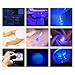 FOXNOV 12 LED UV Flashlight Black Lights Pet Dog Urine Stain Detector, 395nm with 3 AAA Batteries