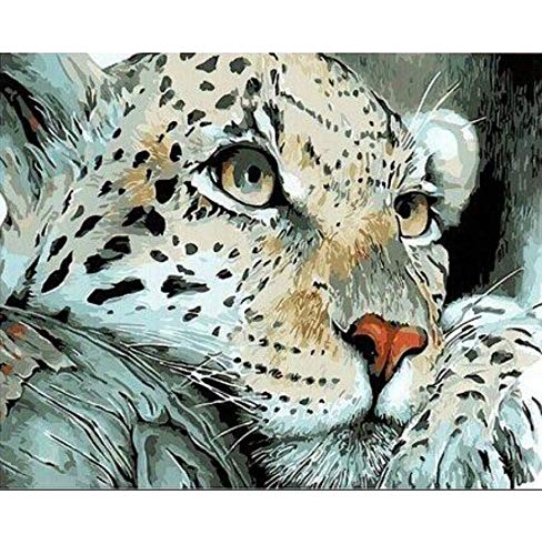Acrylic cute snow leopard face