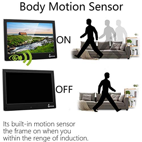 1 Digital+Picture+Display+Playback+Infrared