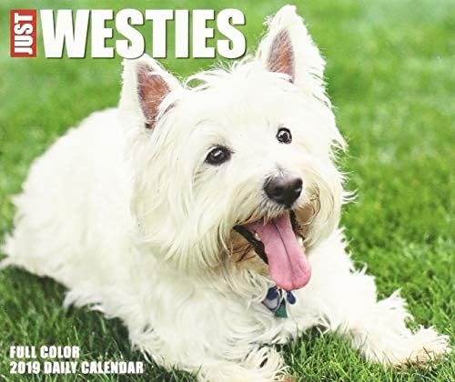 Just Westies 2019 Box Calendar (Dog Breed Calendar)