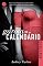 Livro A garota do calendário: Novembro
