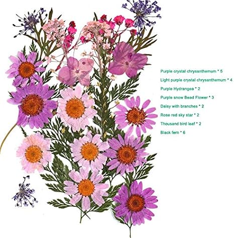 Amazon Xushen Hu 花束 スポットは フラワーミックスドライフラワーdiyアート花装飾コレクションギフトクラフトdiyパーティークリスマスホームデコレーションツールを押しました Color A 9 造花 オンライン通販