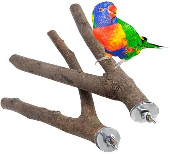 Vogel Sitzstange Mit Saugnapf - 38cm, Für Wellensittiche & Papageien