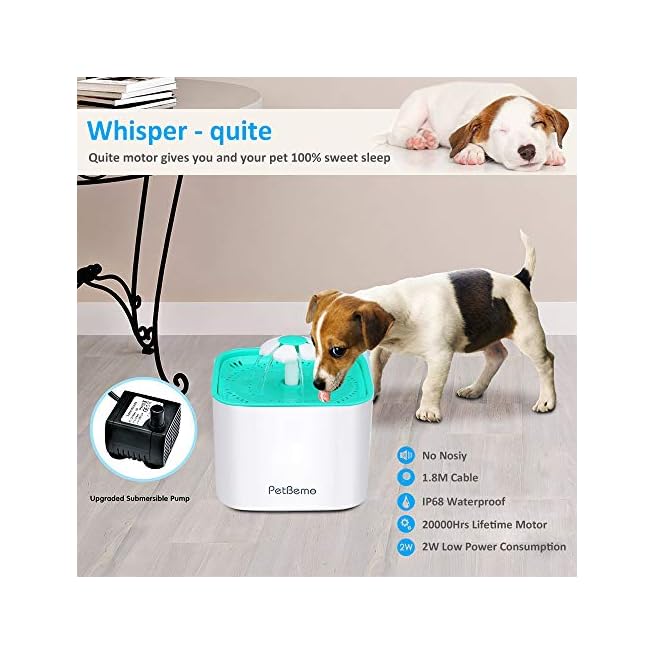 dog water bowl pump