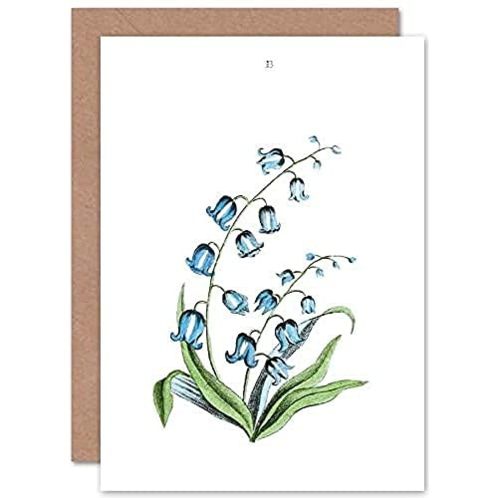 Fine Art Prints Flower Bluebells Illustration Greeting Card With Envelope Inside Premium Quality, Blue, purple, green