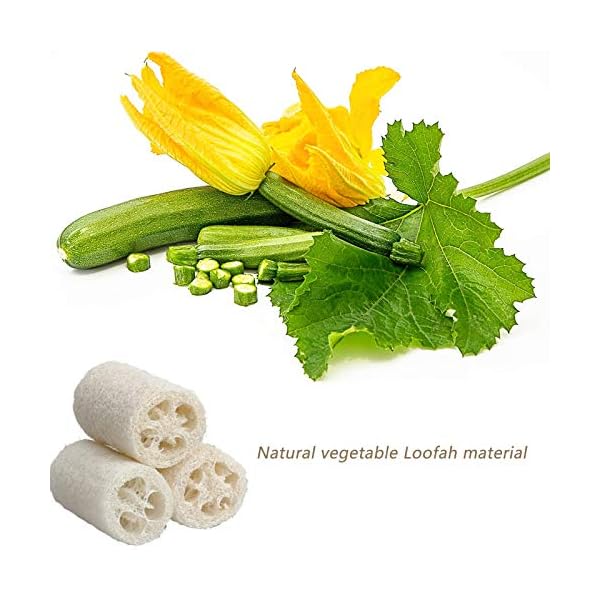 Natural Loofahs Sponge, 2Pcs Soft Exfoliating Bathing Shower Loofah Scrubber Brush for Men and Women for Hot Spring Bath…