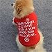 Pet Shirt,Haoricu Winter Christmas Dog Cotton Costume Small Dog Cat Pet Clothing Puppy T Shirt Apparel Warm Pullover High-grade Embroidered (S, Red)