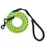 lesotc Puppy Leash, 6 Feet Long Chewing Resistant Dog Leash with Comfortable Handle for Medium and Large Dogs