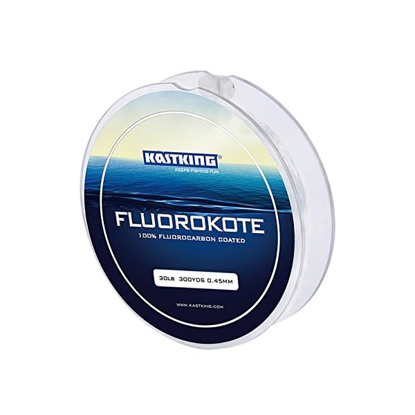 KastKing-FluoroKote-Fishing-Line-100-Pure-Fluorocarbon-Coated-300Yds274M-Premium-Spool-Upgrade-from-Mono-and-Perfect-Substitute-for-Solid-Fluorocarbon-Line-ICAST-Award-Winning-Brand