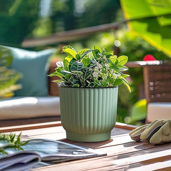 Self Watering Flower Pot