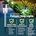 Solar Pathway Lights Outdoor,16-Pack Waterproof Outdoor Solar Lights Stainless Steel Painted Solar Light for Garden,Yard,Lawn