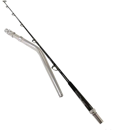 Amazon.com : Daiwa TANACOM DENDOH Style RODS, Sections= 2, Line Wt