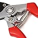 FLORA GUARD Professional Hand Pruner-Bypass Pruning Shears with Safety Lock, Tree Trimmers Secateurs, Garden Shears, Clippers for The Garden