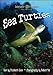 Sea Turtles 1605591041 Book Cover