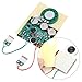 Voice Module, 30s Recordable Music Sound Voice Module Chip 0.5W with Button Battery (Wired Double Button Control)