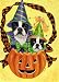 Boston Terrier Halloween-GF