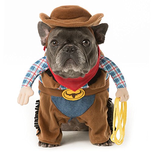 Thrills & Chills Pet Halloween Stand Up Cowboy Pet Costume~SMALL~