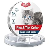 A.M. Leonard Narrow Shrub Rake, 8 Inches Wide, 54 Inch Handle