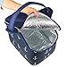Yonovo 20L Folding Picnic Basket Large Insulated Bag Waterproof for Gathering Travel Camping BBQ,Blue