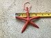 Starfish Christmas Tree Ornaments (Coral)