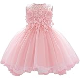Baby Girl Dress Flower Lace Hi-lo Tulle Party Dresses Princess Pageant Birthday Wedding