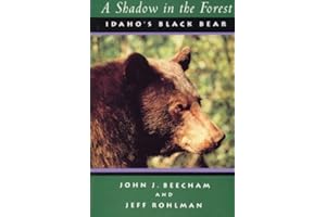 A Shadow in the Forest: Idaho's Black Bear