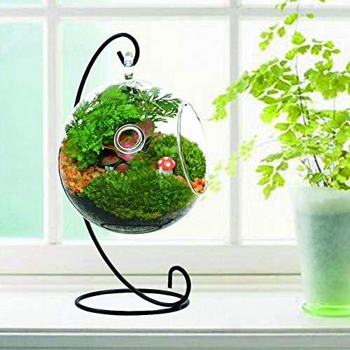 image for DaskFire Ornaments Display Stand Holder, Iron Ornament Display Hook fo