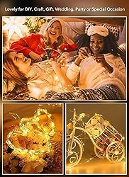 Brightown 12 Pack LED Fairy Lights Battery Operated