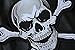 Skull & Crossbones Patch 10.5