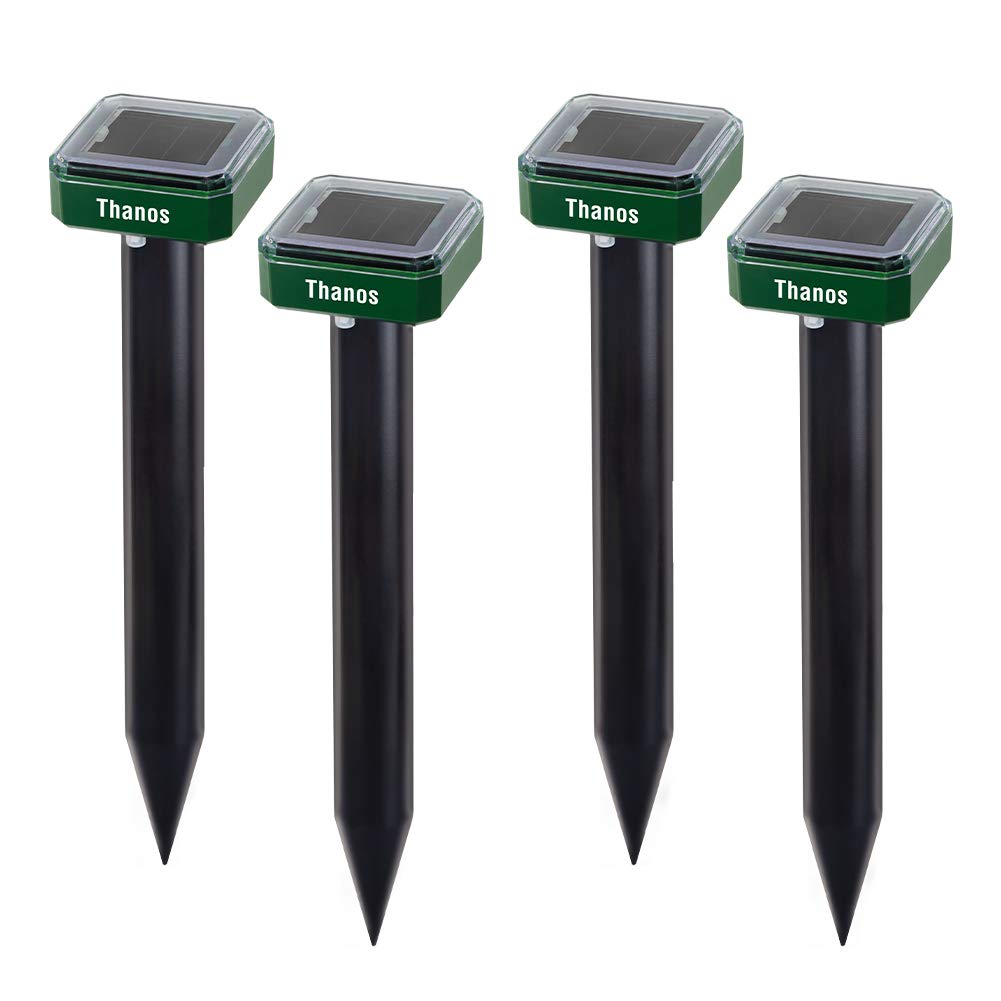 Top 5 Best Groundhog Repellents and Deterrents (**2020 Guide**) - Pest