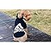 Moolecole Pet Sports Apparel Cat & Dog Cold Weather Coats Dog Hoodies Pet Sweaters (XXL, Black)