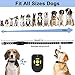Zeonetak Dog Training Spray Bark Collar with Remote,2 Modes Citronella Control Stop Barking Collar for Dogs Small Medium Large, Adjustable Rechargeable Waterproof No Shock Harmless&Humane, 330ft Rangethumb 3