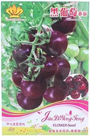 20 Seeds 1Pack Purple Cherry Tomato Home Garden Organic Heirloom Fruit Vegetable Plant Hortalizas Semillas