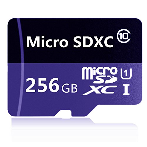 256GB Micro SD SDXC Class 10 Memory Card 256g with Adapter(SD18HL-256-C6)