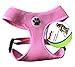 BINGPET Small Dog Harness - Breathable Mesh Puppy Cat Harnesses - No Pull Adjustable Dog Harness Dog Vest Harness for Small and Medium Dogs
