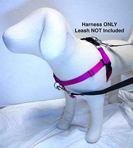 1" Wide XLarge Freedom No-Pull Harness ONLY - Direct from Inventor (Raspberry w/Black Loop)