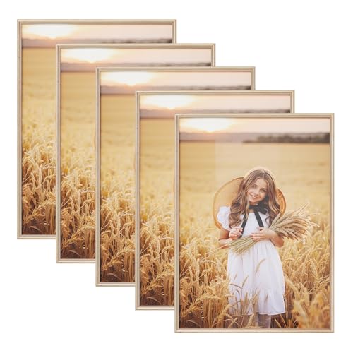 WOLTU Bilderrahmen 50x70, 5er set, Massivholz Fotorahmen mit Passepartout
